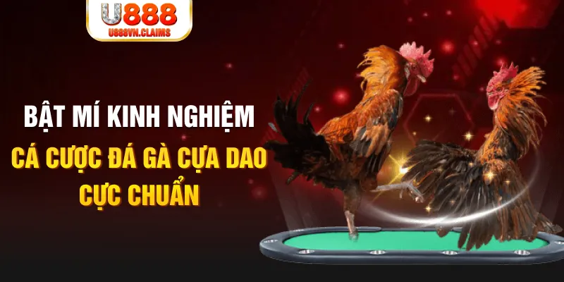 kuvip bet trong baccarat, ai là người chia bài chính？