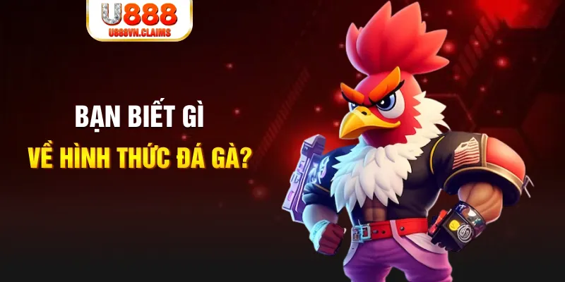 kuvip bet dự đoán xổ số miền trung