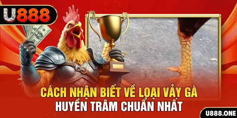 kuvip bet Chú hề Patty tuổi teen