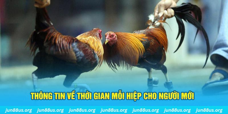 kuvip bet Long Hổ 2