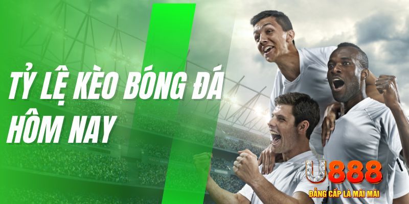 kuvip bet slot tiếng việt là gì