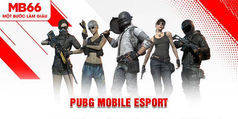 kuvip bet gà chọi c1 mới nhất