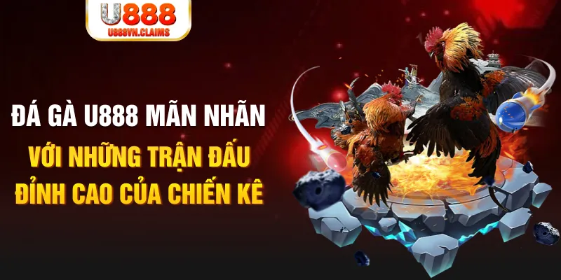 kuvip bet kết quả xổ số miền bắc ngày hôm nay
