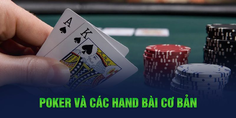 kuvip bet c1 gà chọi