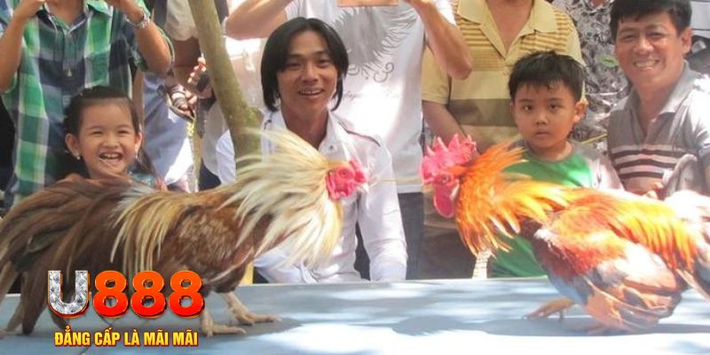 mơ thấy nổ hũ đánh con gì