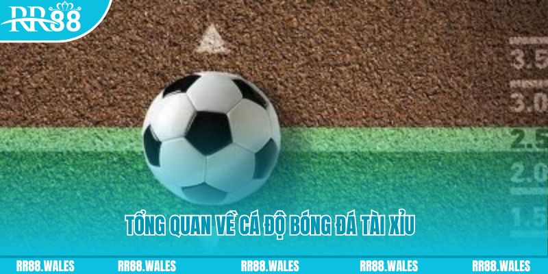 kuvip bet JDB Điện Tử