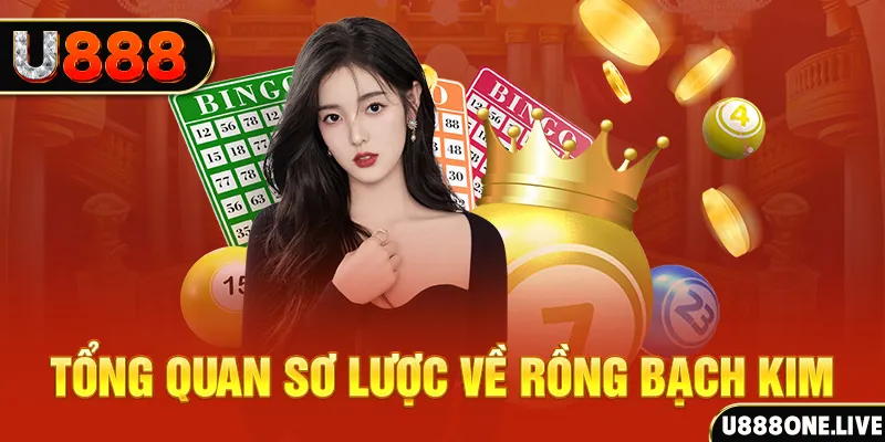 kuvip bet máy bay cá cược