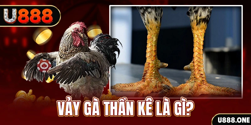 kuvip bet xổ số miền bắc thứ tư hàng tuần