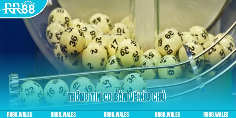 kuvip bet baccarat long bảo là gì