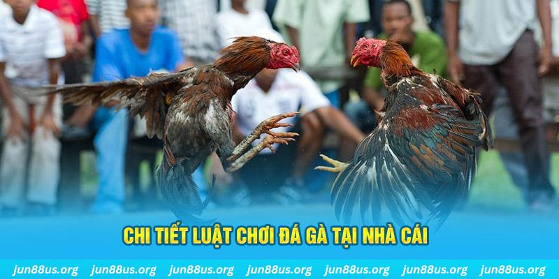 kuvip bet đá gà campuchia