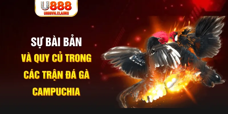 kuvip bet baccarat lừa đảo như thế nào