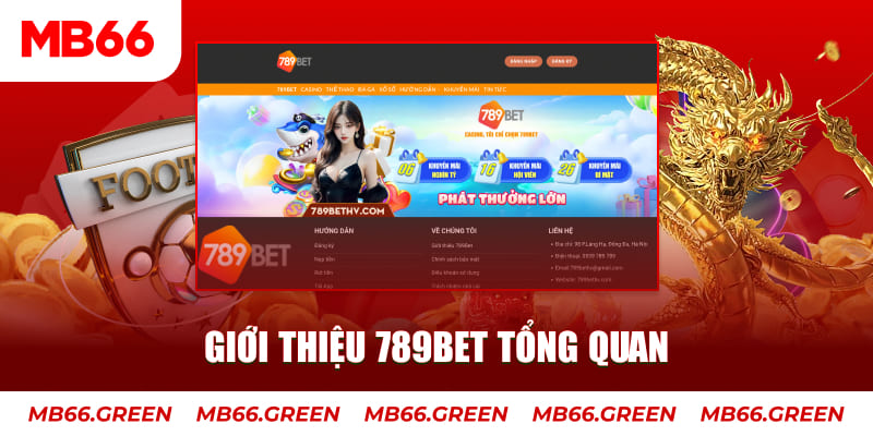 kuvip bet đăng nhập mậu binh trực tiếp