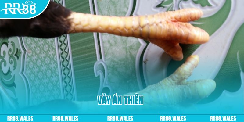 kuvip bet who wants to be a millionaire slot