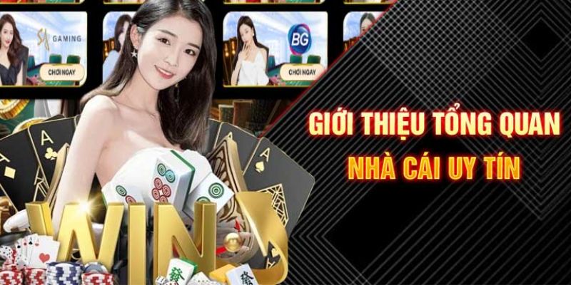 kuvip bet MT Trực Tuyến