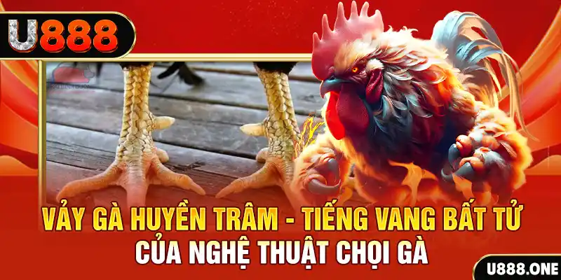 kuvip bet xổ số ba miền hôm nay