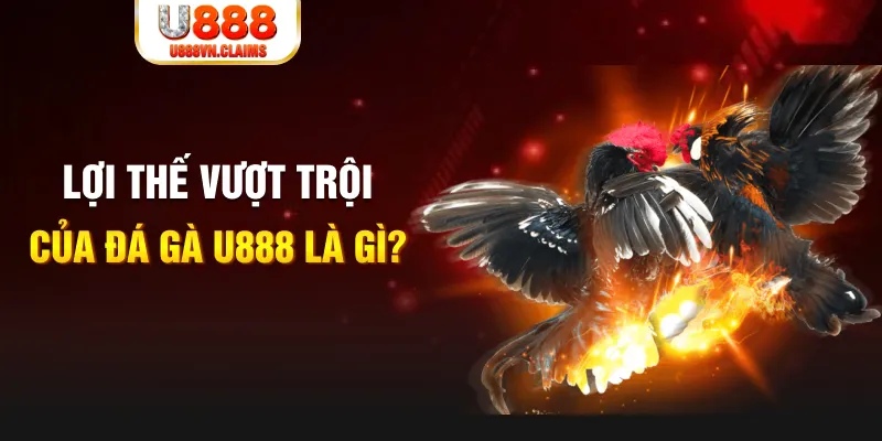 kuvip bet 888 slot là gì