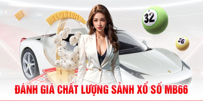 kuvip bet 789bet có bao nhiêu sảnh game bài 3d ？